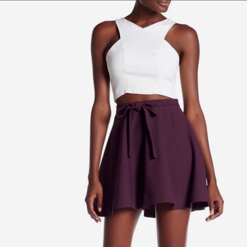 Elizabeth and James A-Line Mini Skirt Size 4